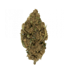 La White Tonic Outdoor 